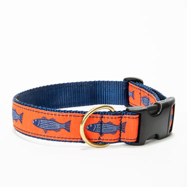 Striper Ribbon Dog Collar
