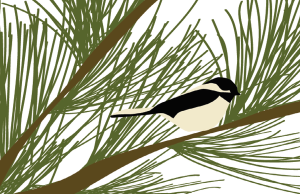Chickadee Vinyl Placemat
