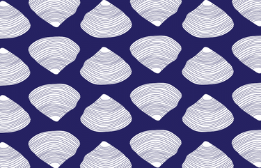 Clamshell Vinyl Placemat