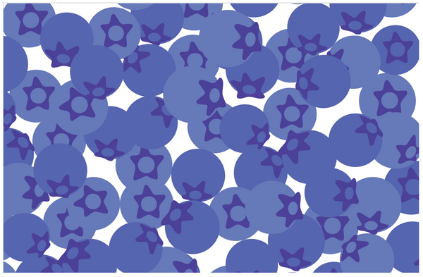 Blueberries Vinyl Placemat