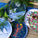 HOLIDAY TRAYS AND COASTERS