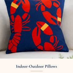 Indoor Outdoor Pillows
