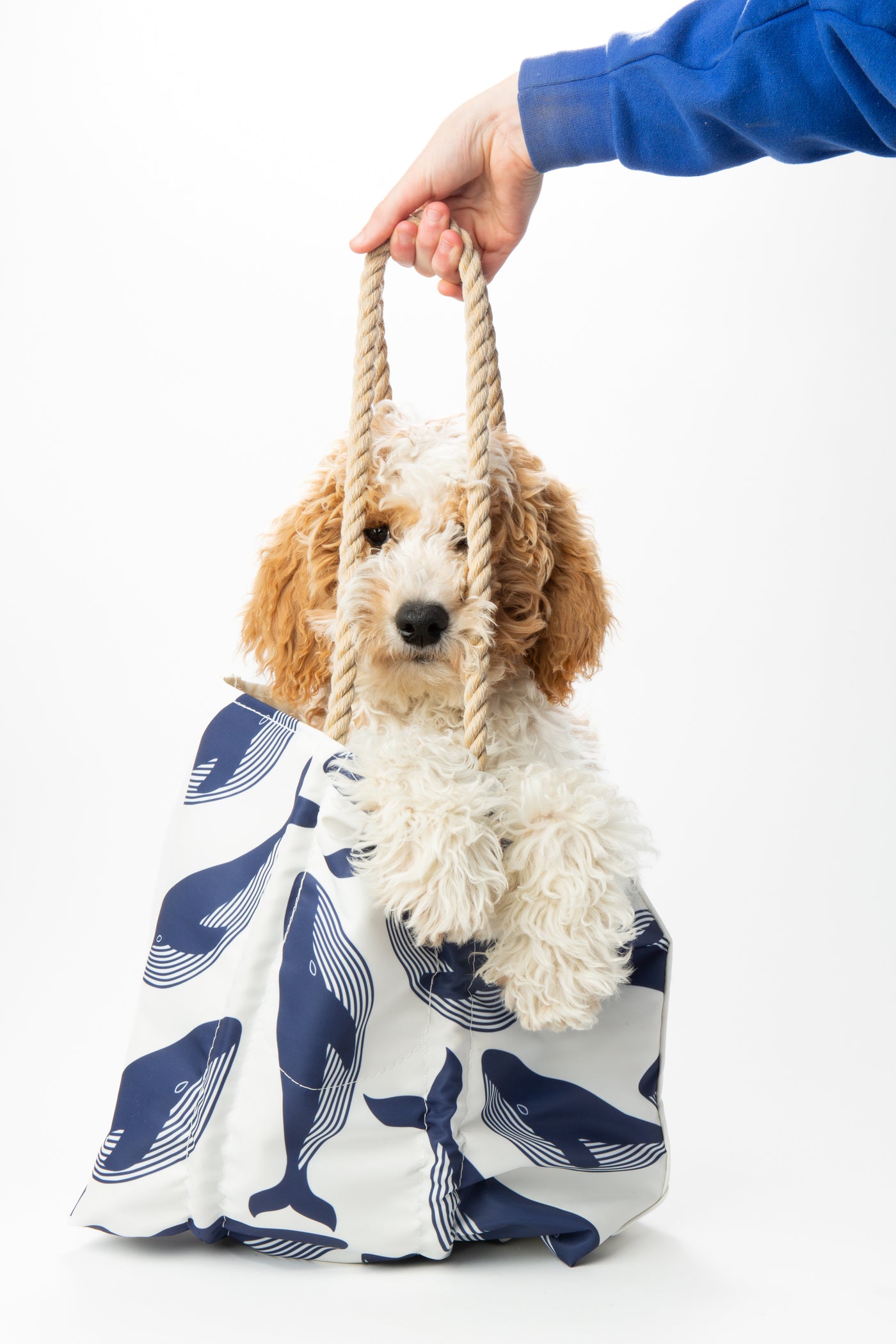 Whales Medium Tote by Sea Bags