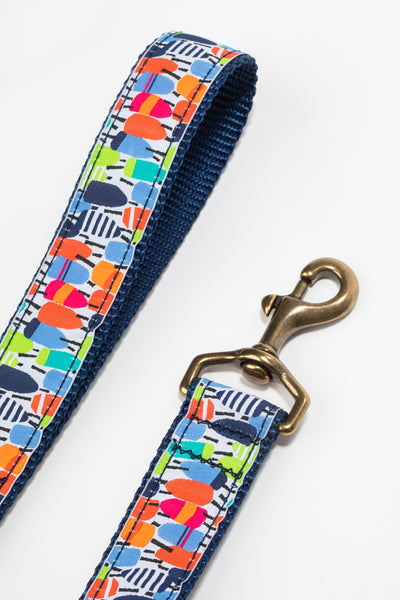 Buoy Ribbon Dog Leash