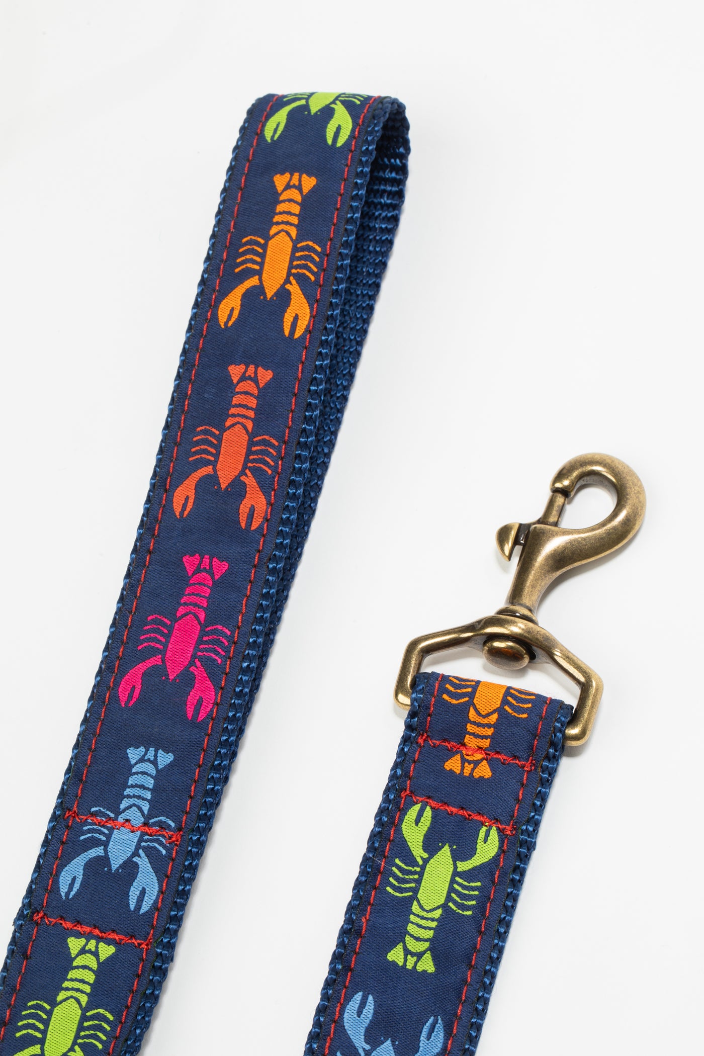 Rainbow Lobster Ribbon Dog Leash