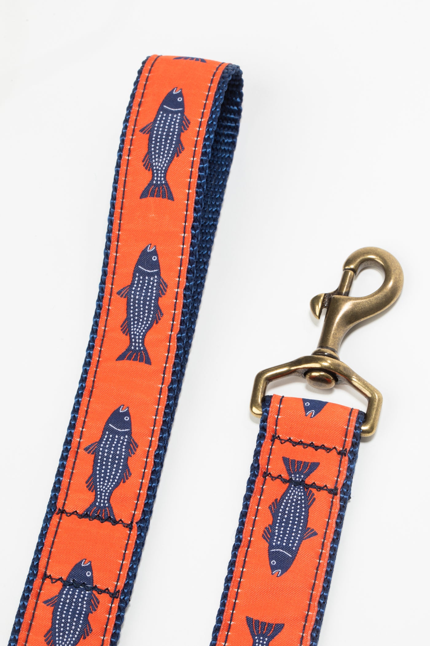 Striper Ribbon Dog Leash