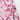 Pink Print Toddler/Youth Raincoat