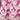 Pink Print Toddler/Youth Raincoat