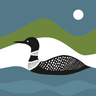 Loon Vinyl Placemat