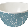 Snow Day Salad Bowl