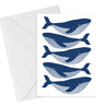 Whales Card