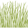 Seagrass Vinyl Placemat