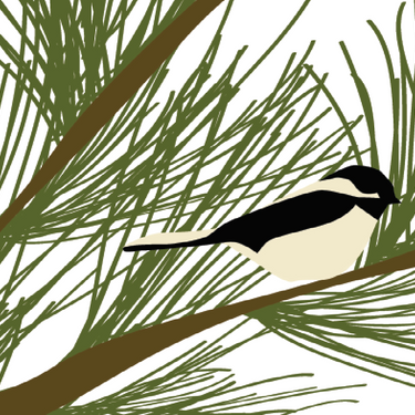 Chickadee Vinyl Placemat