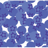 Blueberries Vinyl Placemat