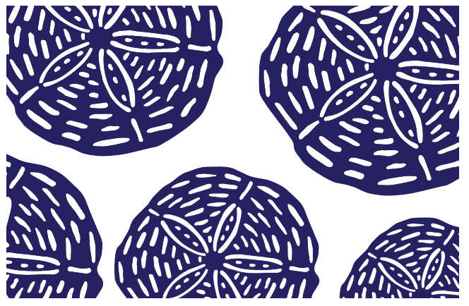 Sand Dollar Vinyl Placemat