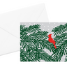 Cardinal Pine Card