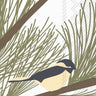 Chickadee and Pine Napkin