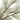 Chickadee and Pine Napkin